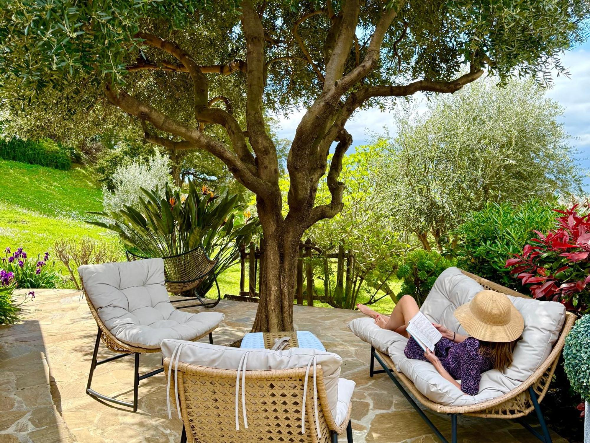 Carpediem_Corsica Poggio-d'Oletta Extérieur photo
